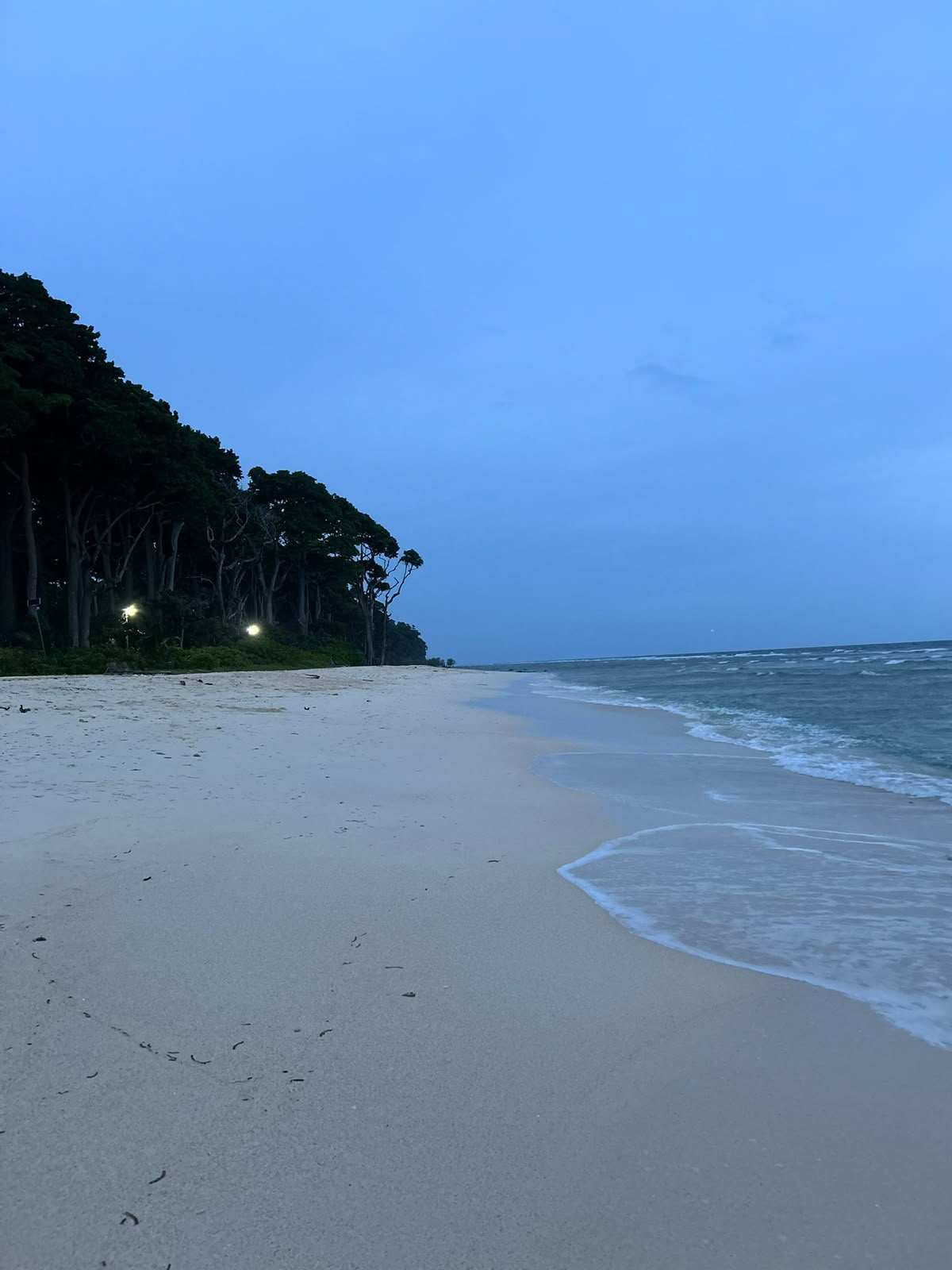 Quiet beach at twilight on Swaraj Dweep, Andaman, with forest edge and gentle waves